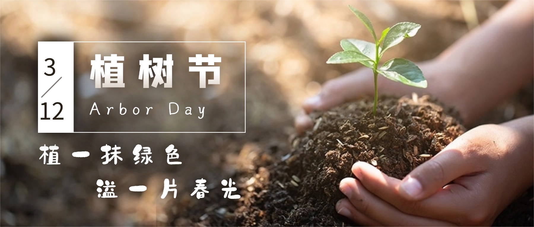 节日 | 植树节，种出自己的春天吧！