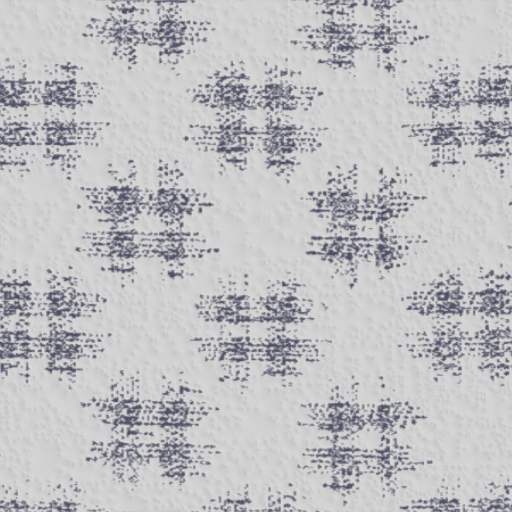 LHA11559 Single Knitted