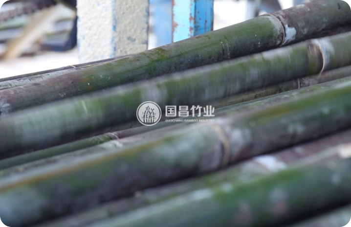 Raw Material Selection