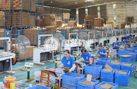 Capacity Upgrade | Multi-Base Coordinated Layout, Continuously Enhancing Overall Production Capacity